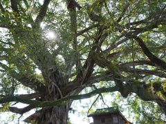 -南靖田螺坑土楼群景区