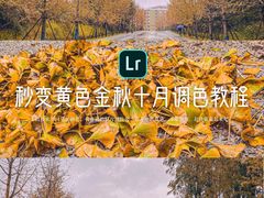 -景德镇陶瓷大学(湘湖校区)