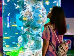 -福州罗源湾海洋世界旅游区