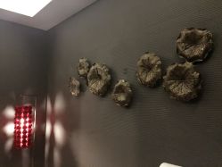 -THANN EXPRESS SPA