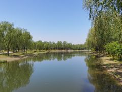 -东郊湿地公园