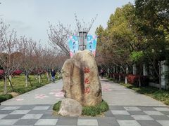 -高东镇樱花园