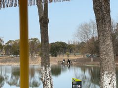 -贡湖湾湿地公园