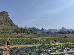 -南宁花花大世界景区