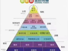 -金色雨林学习力培优(专注力提升)