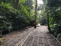 -西双版纳基诺山寨