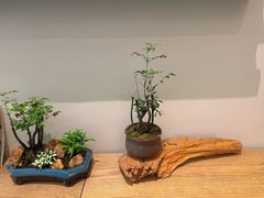 -拂晓山房·私房川菜(西门店)