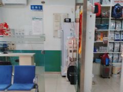 -利又安动物医院··老年病·猫科犬科·中兽医