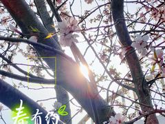 -南翠屏公园