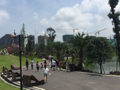 -枫香湖儿童公园