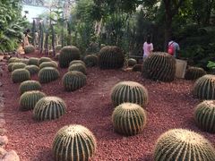 -呀路古热带植物园