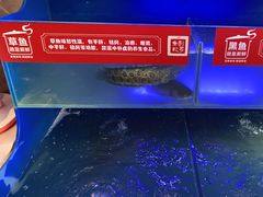 -集草轩·重庆麻辣烤鱼(西湖道店)