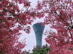 -狐尾山公园