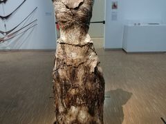 -蓬皮杜艺术中心