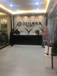 -DEM缔怡美科技美容