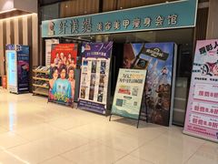 -华美国际影城(旧宫永辉店)