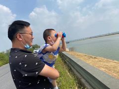 -合肥滨湖国家森林公园