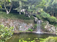 -十八棵（老龙井）御茶园(老龙井店)