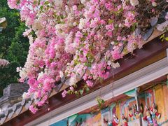 -深圳国际园林花卉博览园