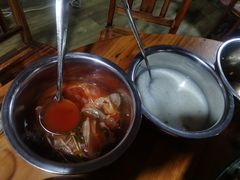 酸汤-卡拉农庄 正宗斗鸡肉