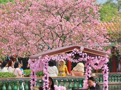 -宝墨园景区