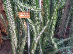 -南通洲际绿博园