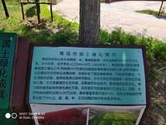 -武清南湖绿博园