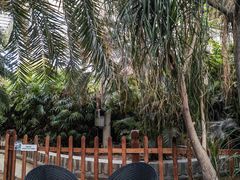 -龙达温泉生态城