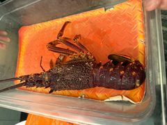 -珍宝海鲜JUMBO Seafood(北京SKP店)