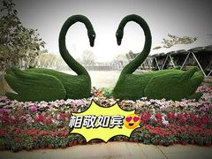 -厦门园林博览苑