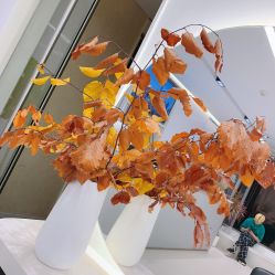 -SalonRivelin 沙龙瑞菱