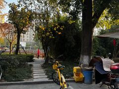 -玄武打边炉(开江西路店)