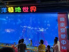 -蓬莱欧乐堡海洋极地世界