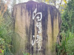 -白鹭湾湿地公园