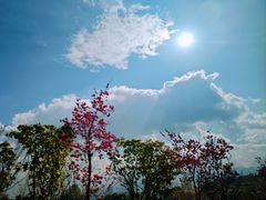 -崇圣寺三塔文化旅游区