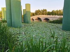 -西安浐灞国家湿地公园