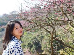 -新建村梅花