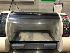 -瑞派名望志远动物医院·猫科·內科·异宠专科(直港大道店)