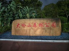 -东莞市大岭山森林公园