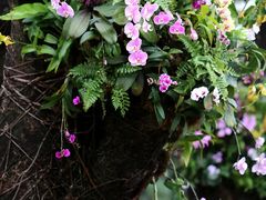 -人民公园(罗湖区)