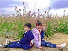 -三圣花乡旅游区