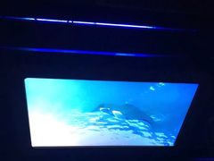 -海洋公园海洋列车－海滨站