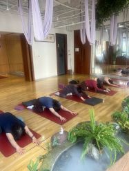 -花间禅净·瑜伽