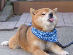 -不二家(数寄屋橋店)