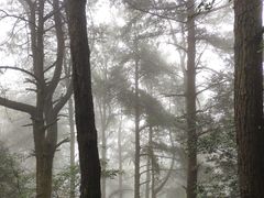 -綦江古剑山
