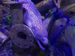 -成都浩海立方海洋公园