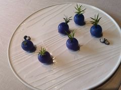 -金鸭季·臻品餐厅(欢乐海岸购物中心店)