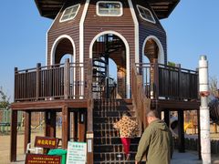 -上海长兴岛郊野公园