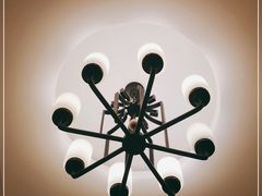 -金蝉食府(维吉奥广场店)