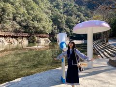 -龙湾潭国家森林公园